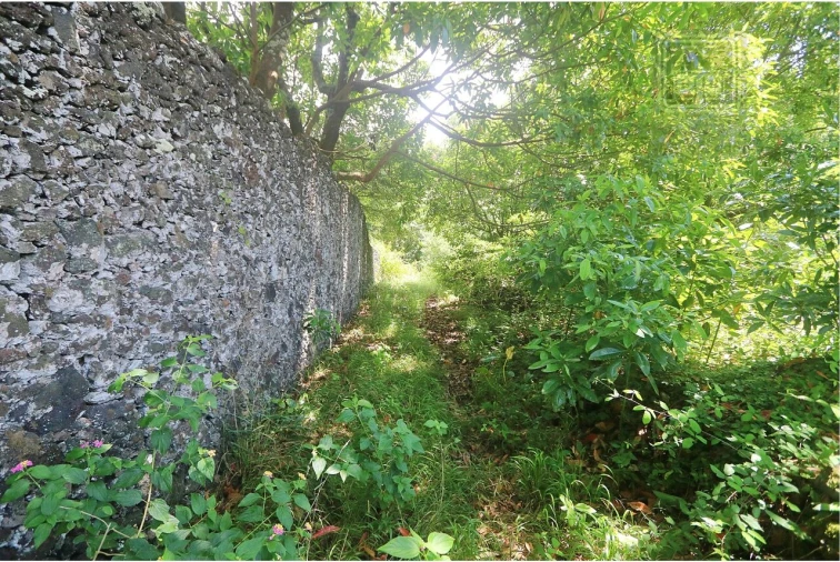Terreno para Venda em Lagoa (Nossa Senhora do Rosario) Foto 27
