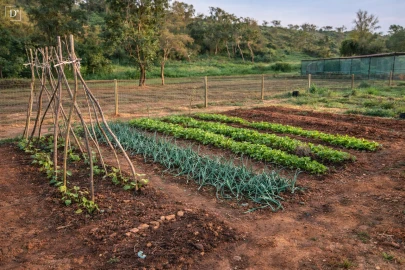 Moradia T2 para Venda em Reliquias