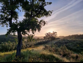 Moradia T2 para Venda em Reliquias