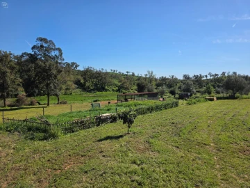 Moradia T2 para Venda em Reliquias