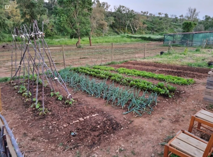 Moradia T2 para Venda em Reliquias Foto 9