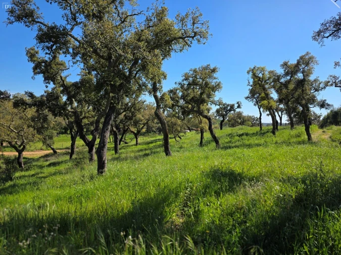 Moradia T2 para Venda em Reliquias Foto 17