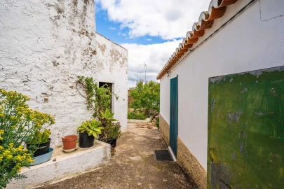 Moradia T3 para Venda em São Miguel do Pinheiro, São Pedro de Solis, São Sebastião dos Carros