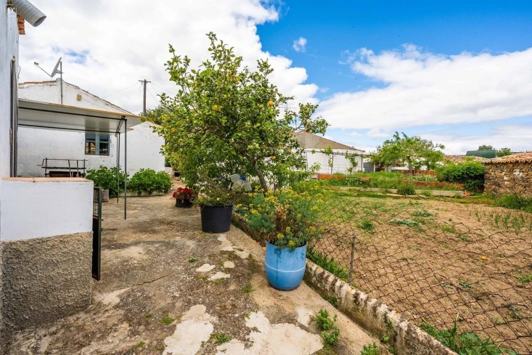 Moradia T3 para Venda em São Miguel do Pinheiro, São Pedro de Solis, São Sebastião dos Carros Foto 25