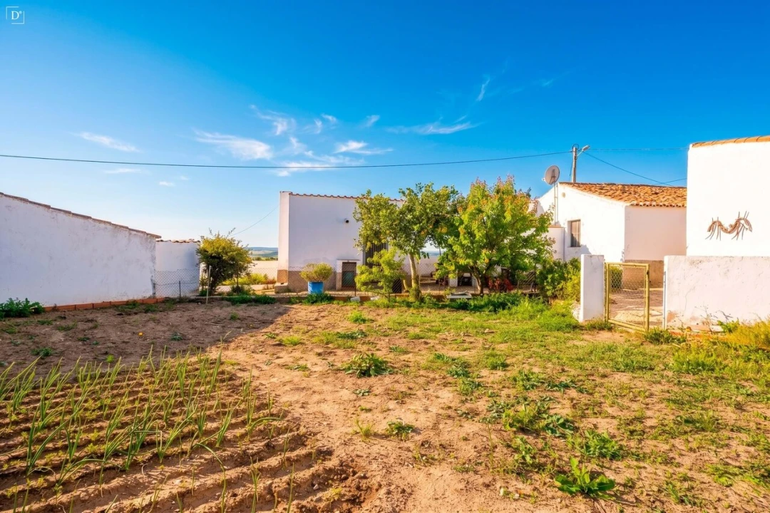 Moradia T3 para Venda em São Miguel do Pinheiro, São Pedro de Solis, São Sebastião dos Carros Foto 13