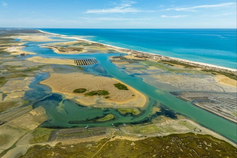 Apartamento T2 para Venda em Moncarapacho e Fuseta Foto 23