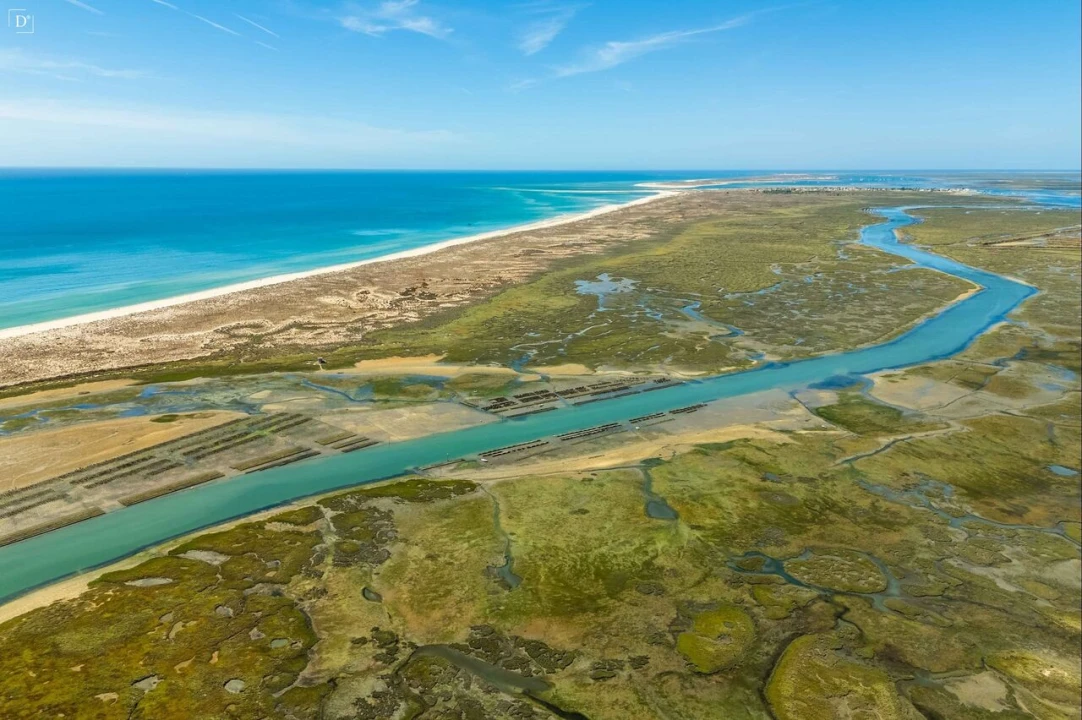 Apartamento T2 para Venda em Moncarapacho e Fuseta Foto 22