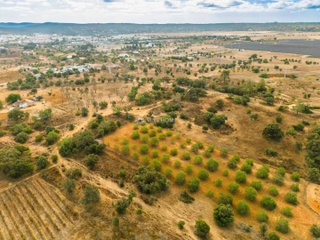 Moradia T6 para Venda em Algoz e Tunes