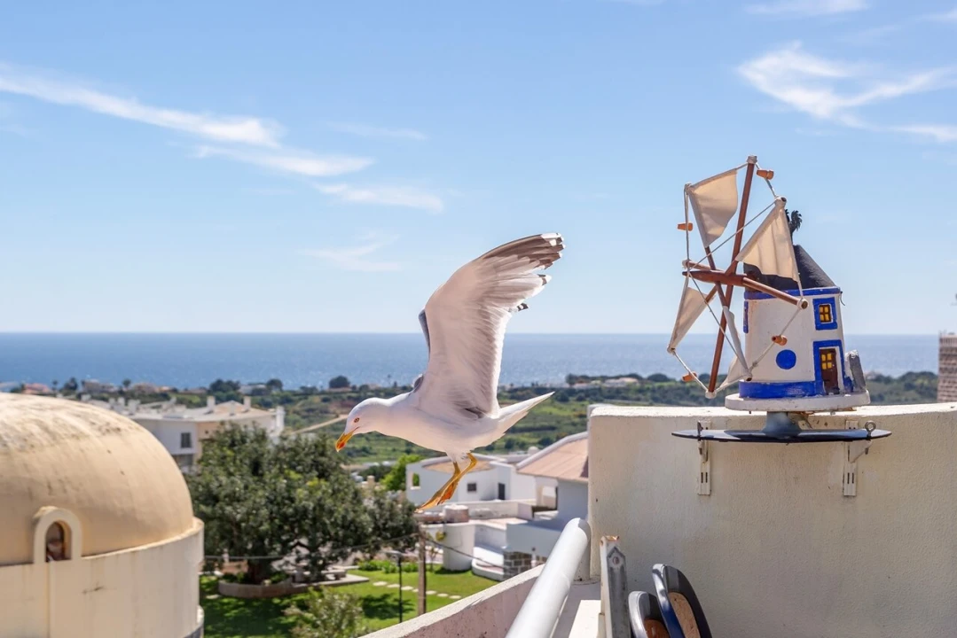 Apartamento T2 para Venda em Albufeira e Olhos de Água Foto 18