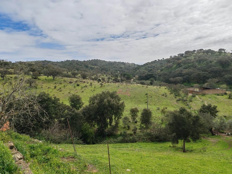 Quinta T2 para Venda em Santa Clara-A-Nova e Gomes Aires Foto 30