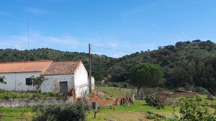 Quinta T2 para Venda em Santa Clara-A-Nova e Gomes Aires
