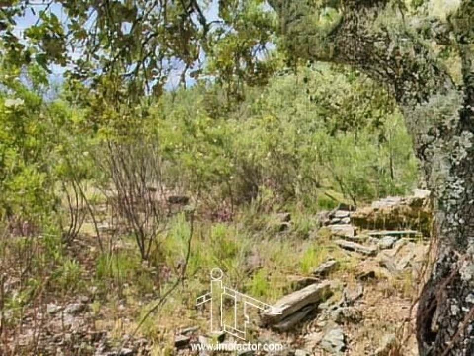 Terreno para Venda em Benquerenças Foto 2