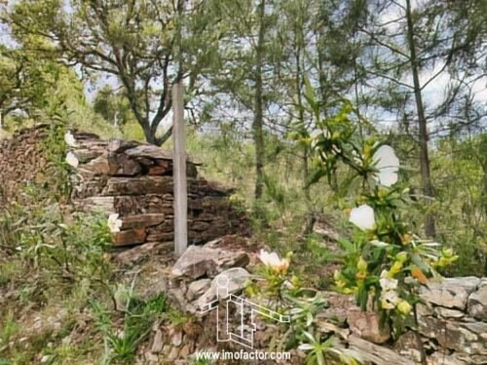 Terreno para Venda em Benquerenças Foto 1