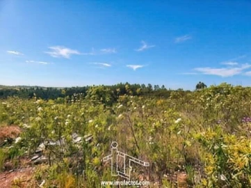 Terreno para Venda em Benquerenças