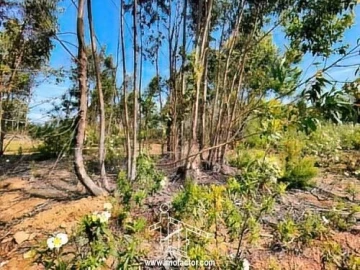 Terreno para Venda em Benquerenças