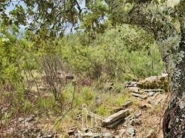 Terreno para Venda em Benquerenças