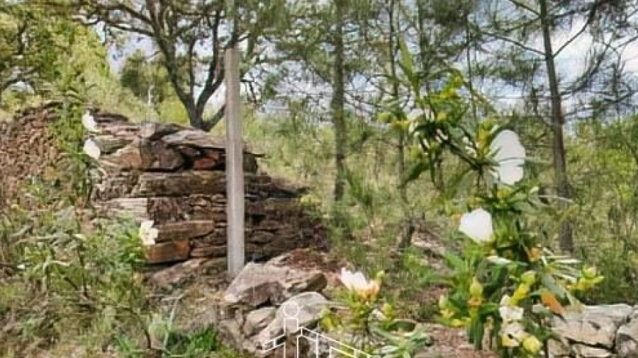 Terreno para Venda em Benquerenças
