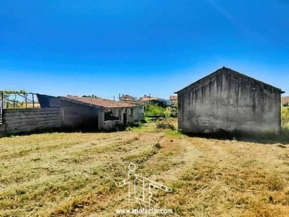Quinta T0 para Venda em Ladoeiro Foto 6