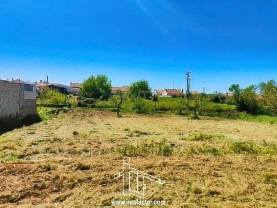 Quinta T0 para Venda em Ladoeiro Foto 3