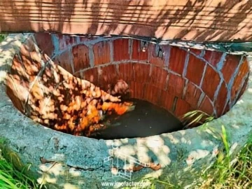 Quinta T0 para Venda em Ladoeiro