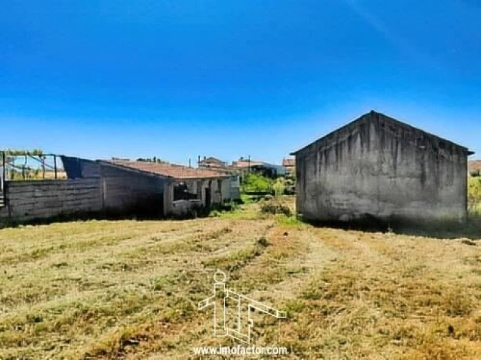 Quinta T0 para Venda em Ladoeiro Foto 6