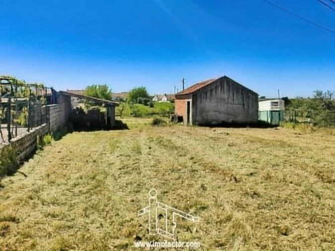 Quinta T0 para Venda em Ladoeiro Foto 5
