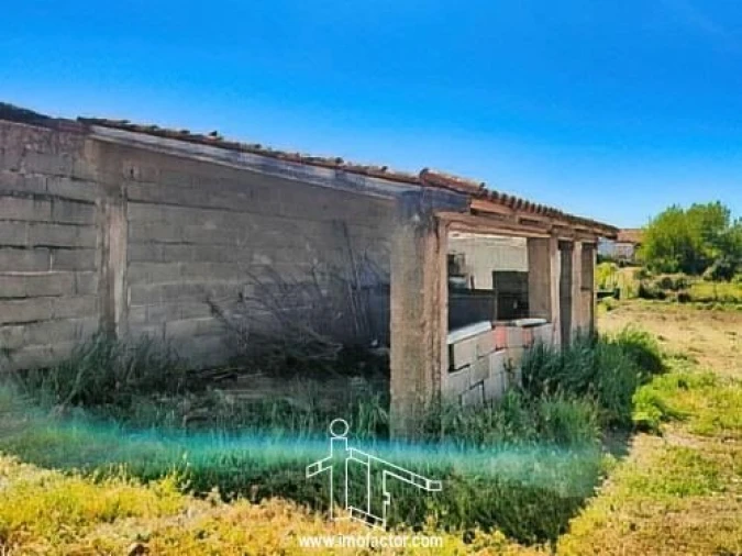 Quinta T0 para Venda em Ladoeiro Foto 4