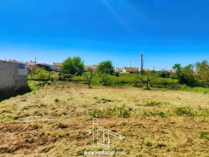 Quinta T0 para Venda em Ladoeiro Foto 3