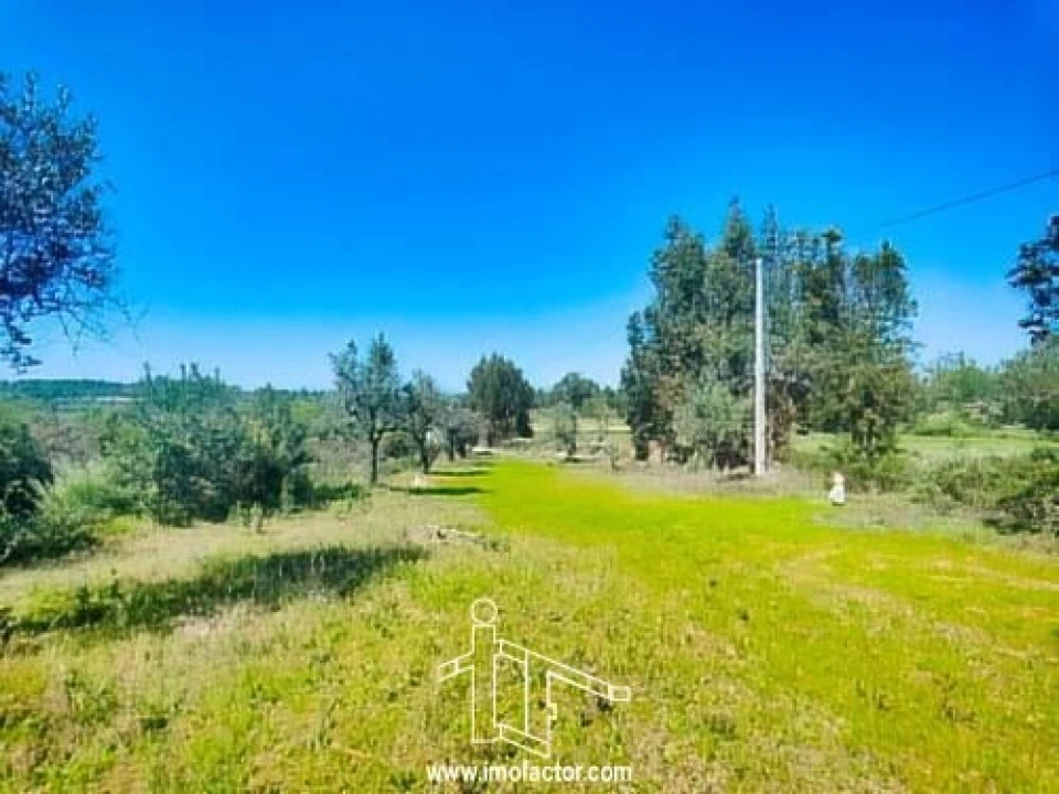 Terreno para Venda em Freixial e Juncal do Campo Foto 13