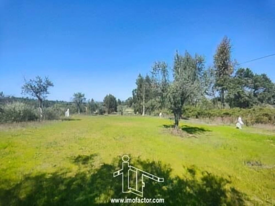Terreno para Venda em Freixial e Juncal do Campo Foto 12