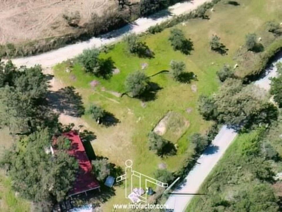 Terreno para Venda em Freixial e Juncal do Campo Foto 7