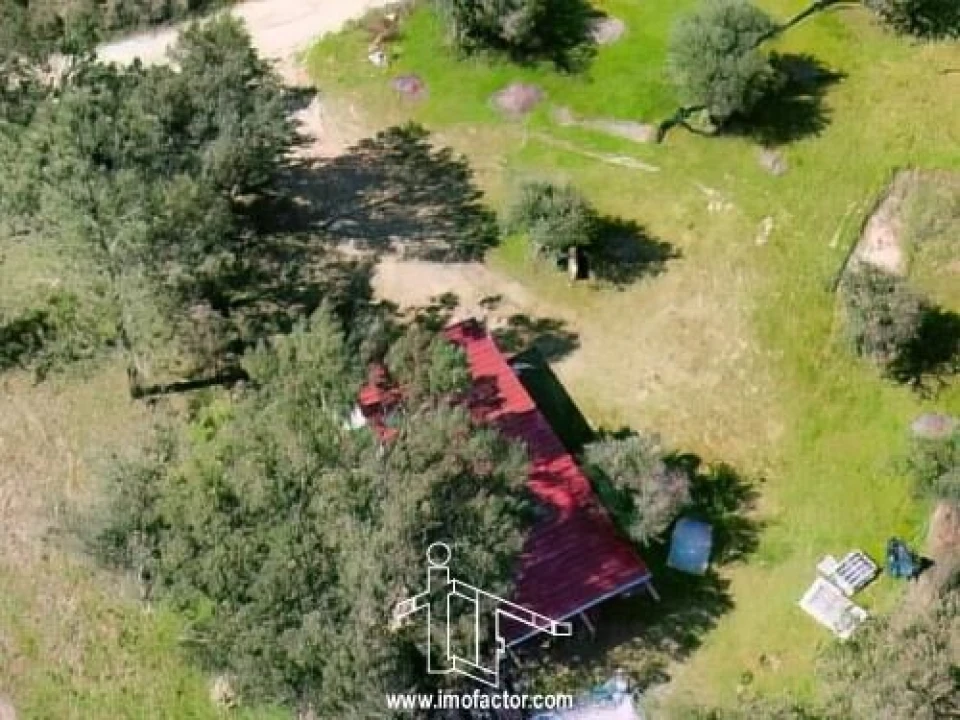 Terreno para Venda em Freixial e Juncal do Campo Foto 5