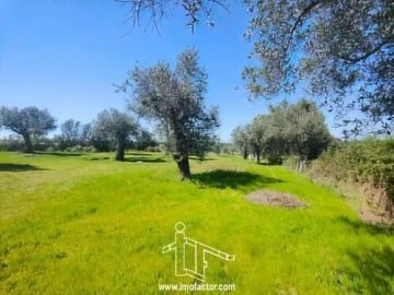 Terreno para Venda em Freixial e Juncal do Campo