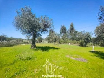 Terreno para Venda em Freixial e Juncal do Campo
