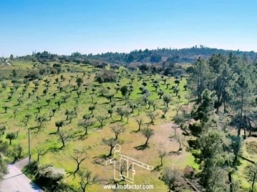 Terreno para Venda em Freixial e Juncal do Campo