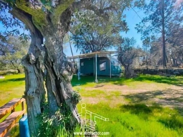 Terreno para Venda em Freixial e Juncal do Campo