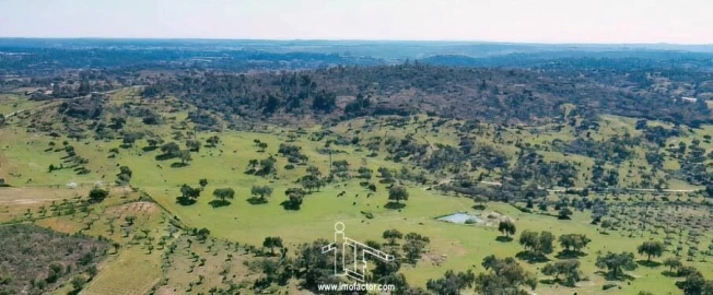 Terreno para Venda em Freixial e Juncal do Campo