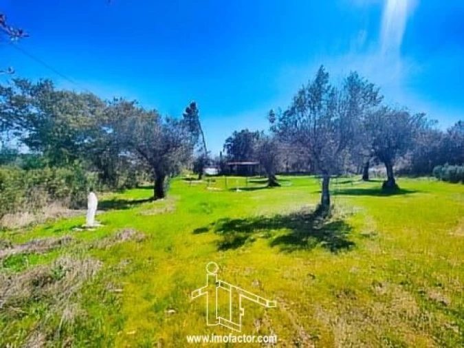 Terreno para Venda em Freixial e Juncal do Campo Foto 15