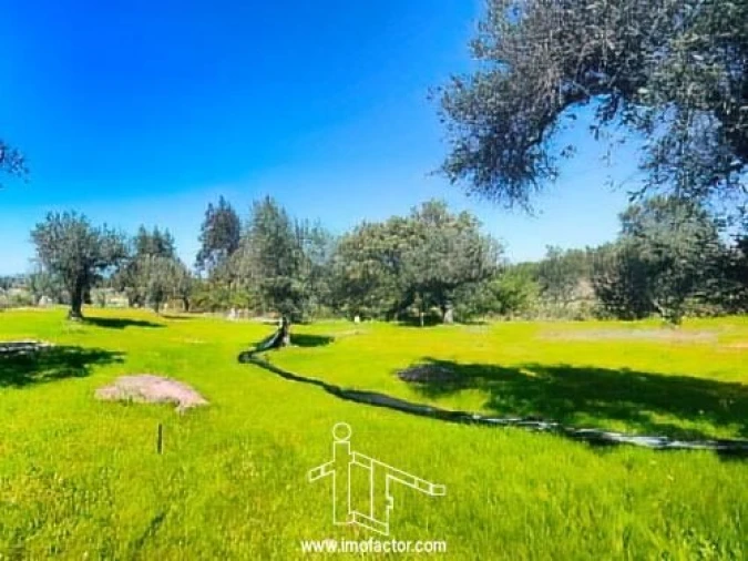 Terreno para Venda em Freixial e Juncal do Campo Foto 10