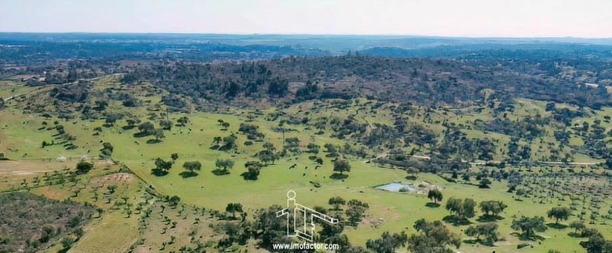 Terreno para Venda em Freixial e Juncal do Campo Foto 20