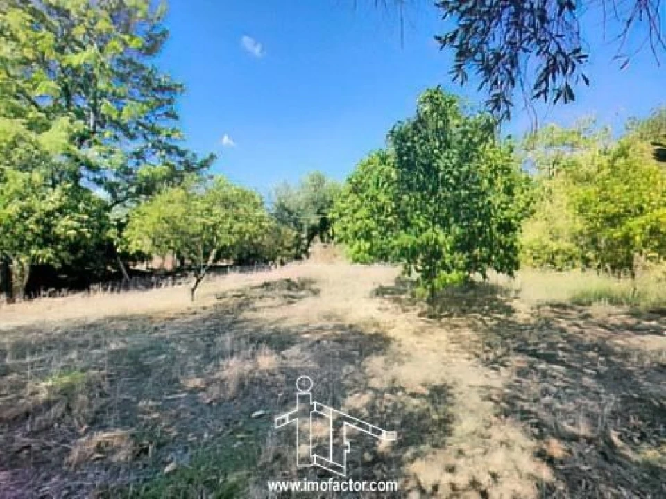 Quinta T1 para Venda em Freixial e Juncal do Campo Foto 8