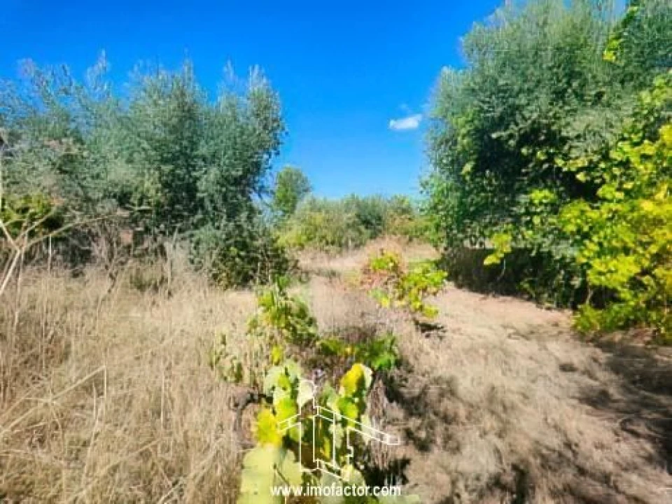 Quinta T1 para Venda em Freixial e Juncal do Campo Foto 7