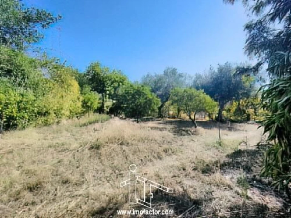 Quinta T1 para Venda em Freixial e Juncal do Campo Foto 6