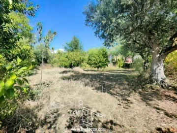 Quinta T1 para Venda em Freixial e Juncal do Campo