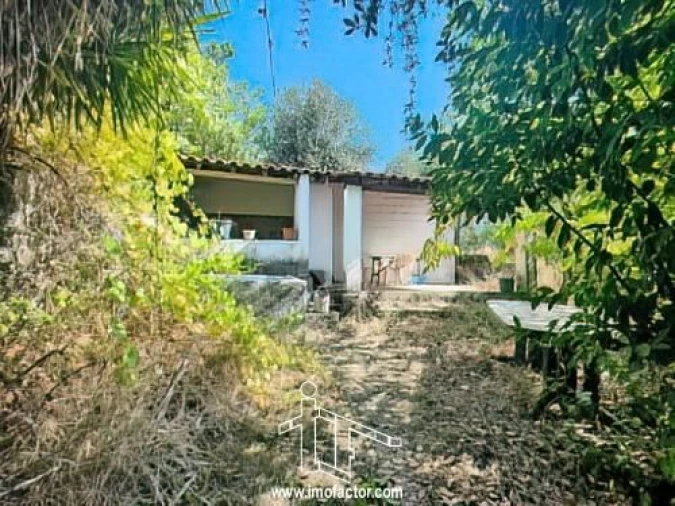 Quinta T1 para Venda em Freixial e Juncal do Campo Foto 14