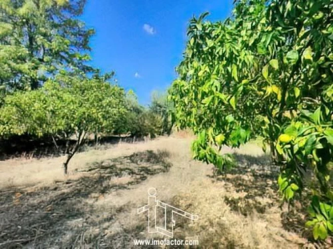 Quinta T1 para Venda em Freixial e Juncal do Campo Foto 5