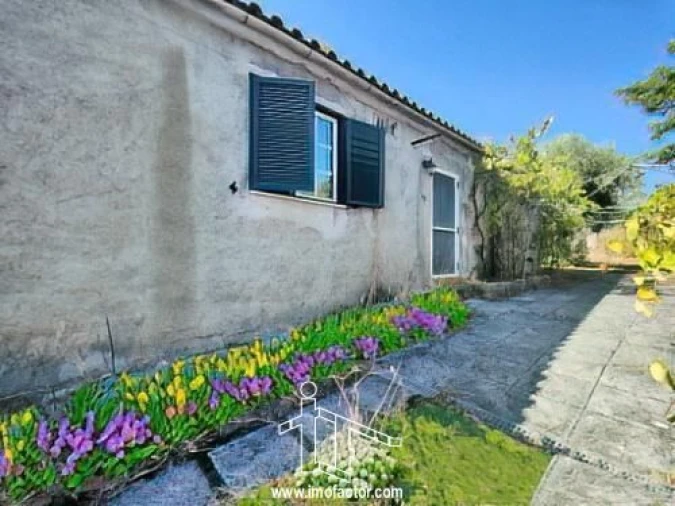 Quinta T1 para Venda em Freixial e Juncal do Campo Foto 2