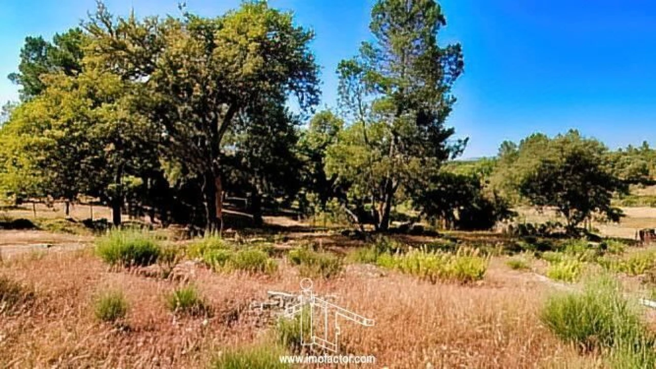 Quinta T0 para Venda em Idanha-A-Nova e Alcafozes Foto 25
