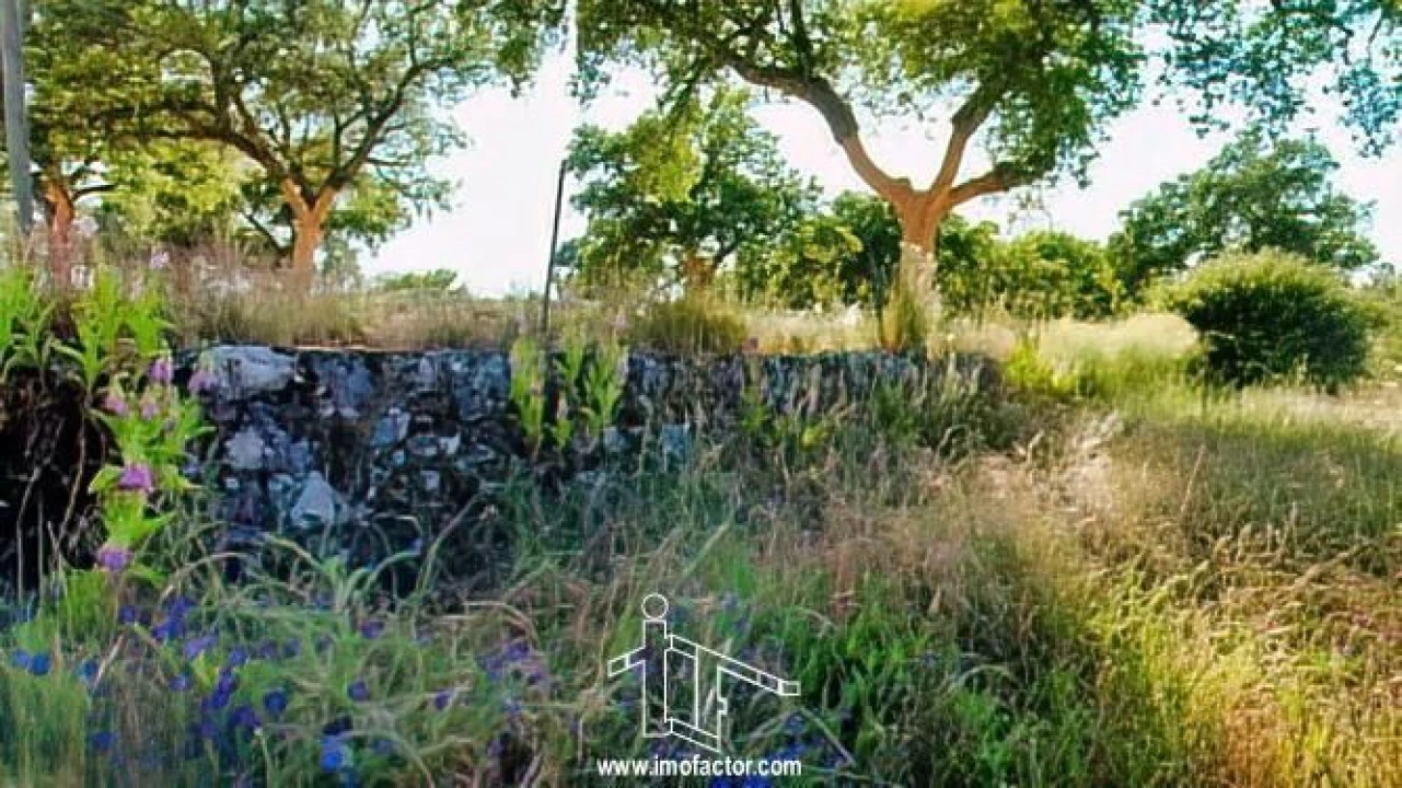 Quinta T0 para Venda em Idanha-A-Nova e Alcafozes Foto 23