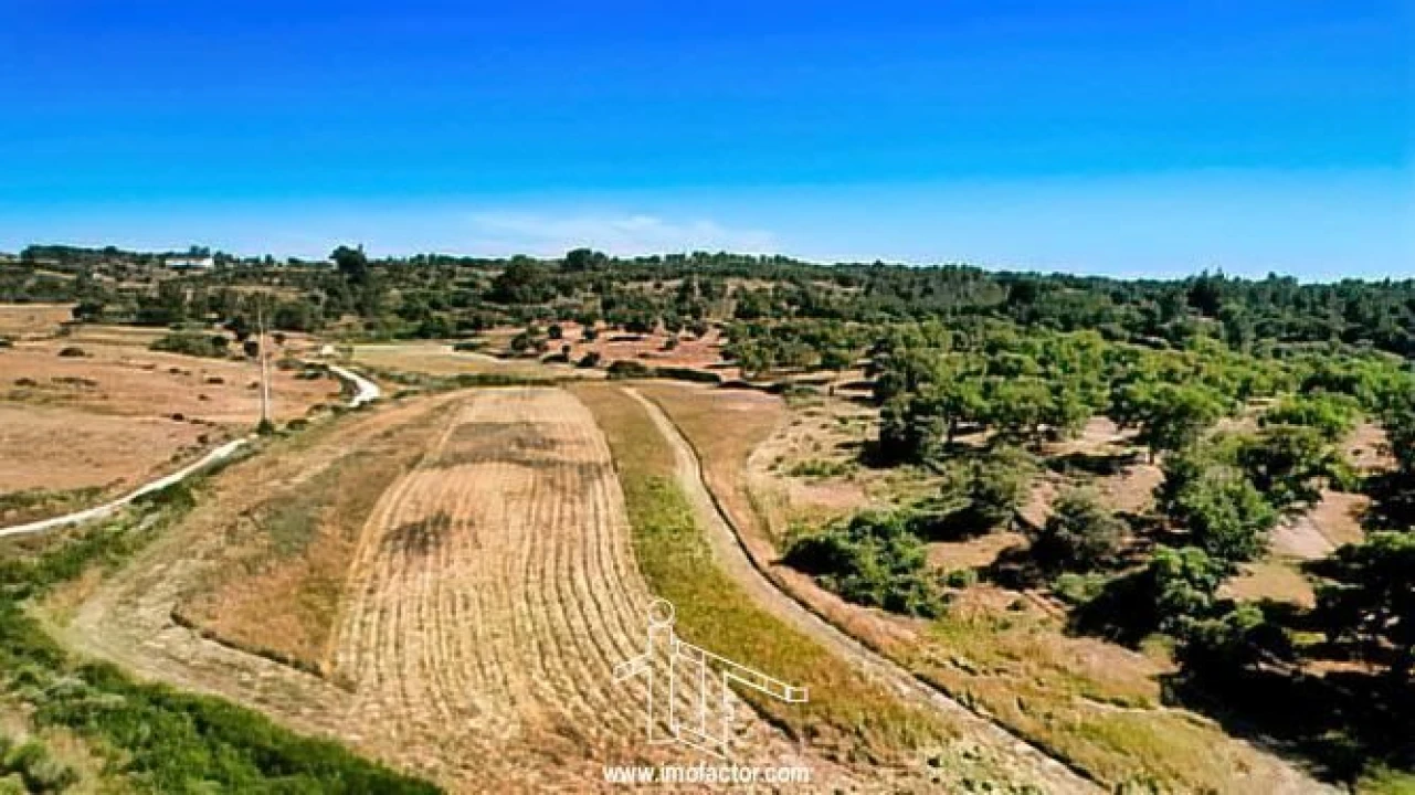 Quinta T0 para Venda em Idanha-A-Nova e Alcafozes Foto 21